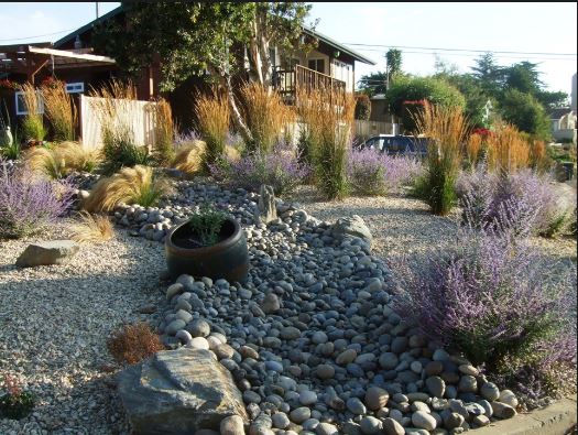 landscaping with drought tolerant plants